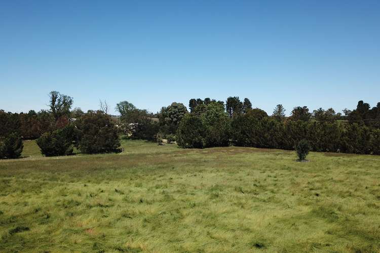 Fifth view of Homely ruralOther listing, 95 Black Lane, Armidale NSW 2350