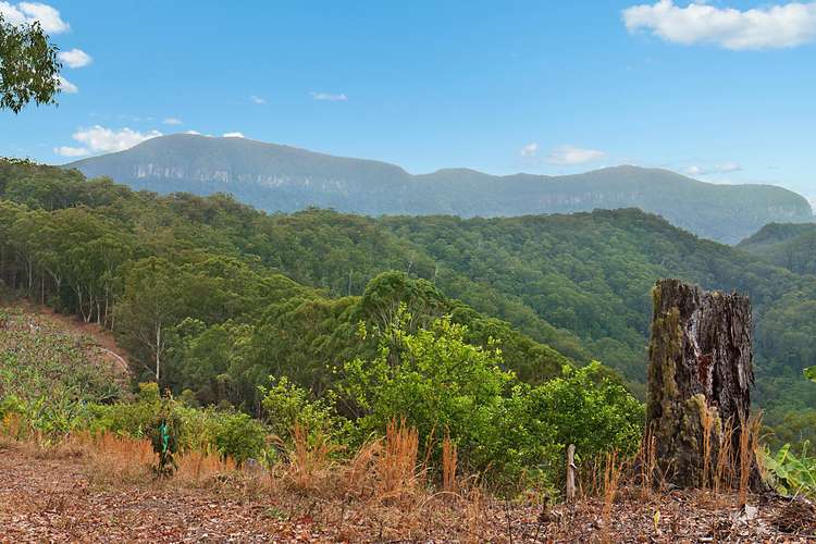 lot 1 Chauviers Road, Upper Crystal Creek NSW 2484
