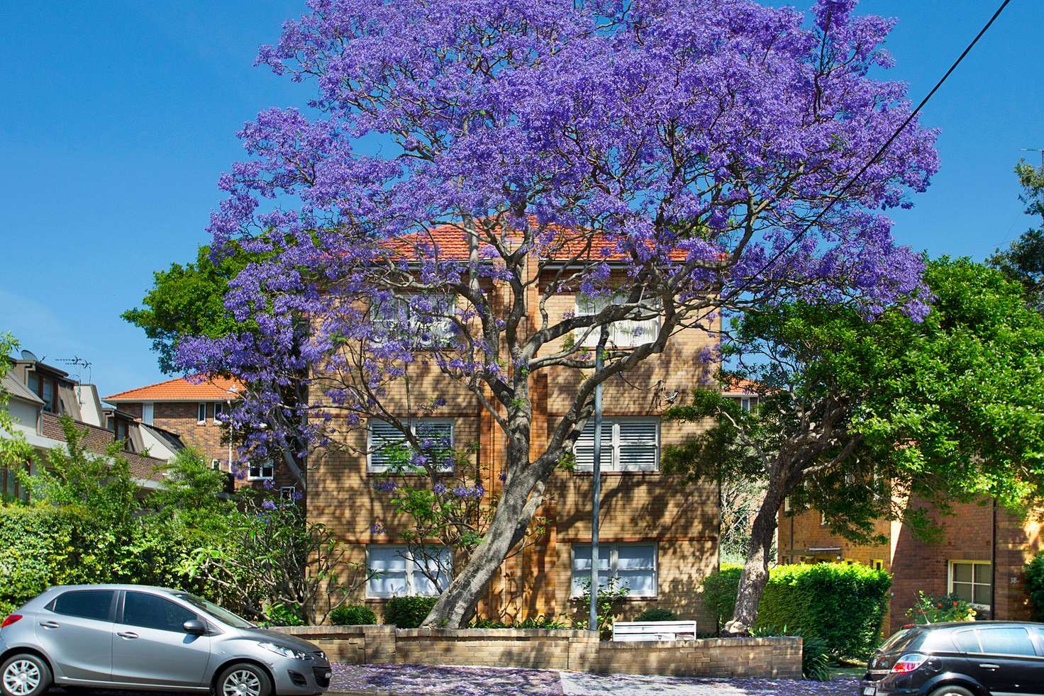 Main view of Homely apartment listing, 3/16A Spruson Street, Neutral Bay NSW 2089