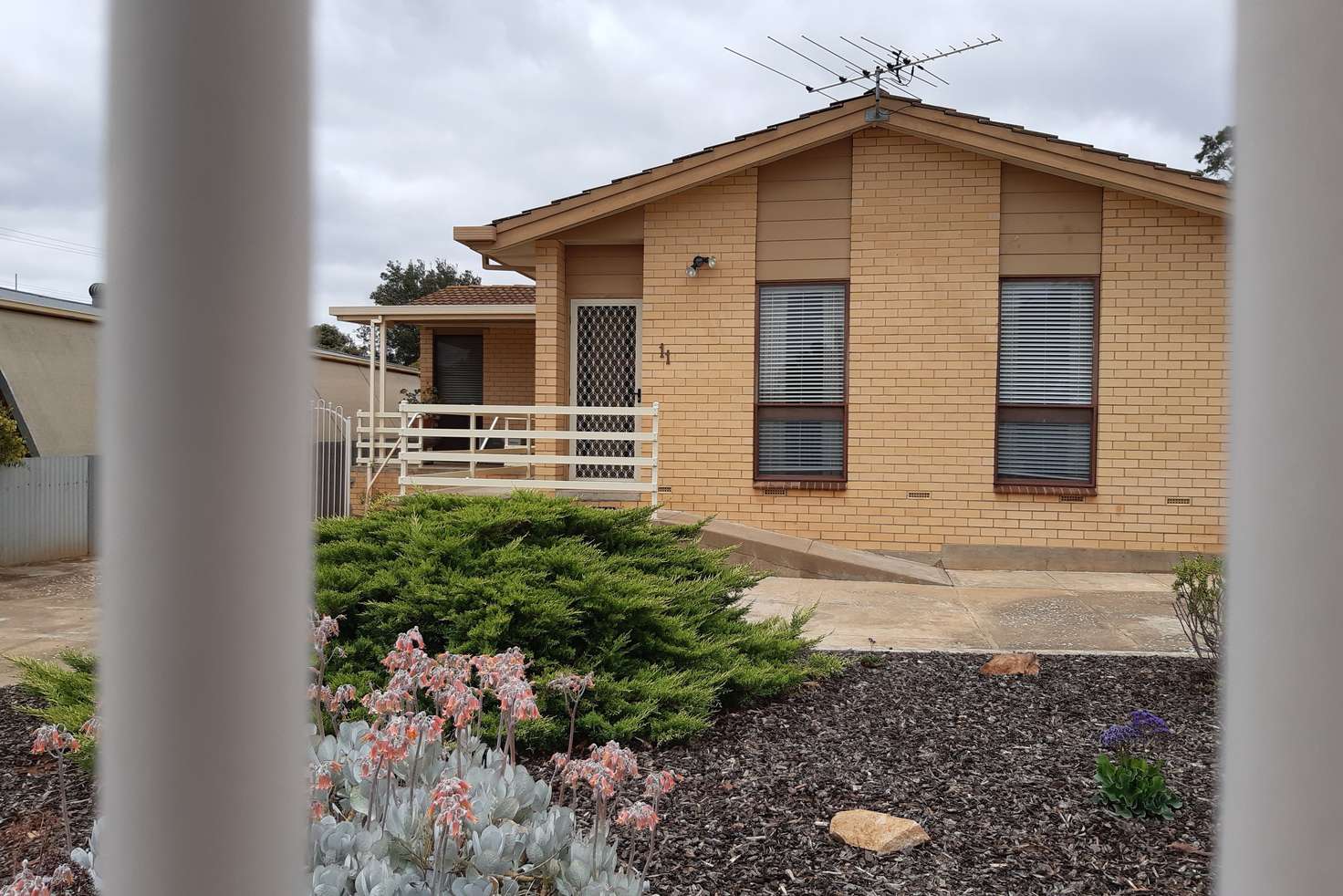 Main view of Homely house listing, 11 Potter Avenue, Murray Bridge SA 5253