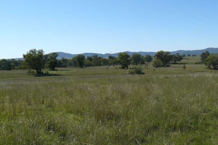 " Box Hill", Bingara NSW 2404