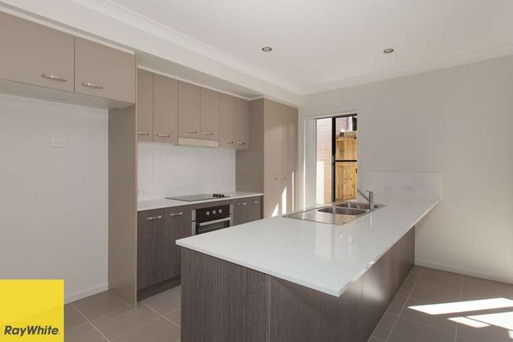 Second view of Homely house listing, 44 Tribeca Circuit, Coomera QLD 4209