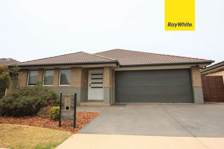 Main view of Homely house listing, 12 Alchornea Place, Mount Annan NSW 2567