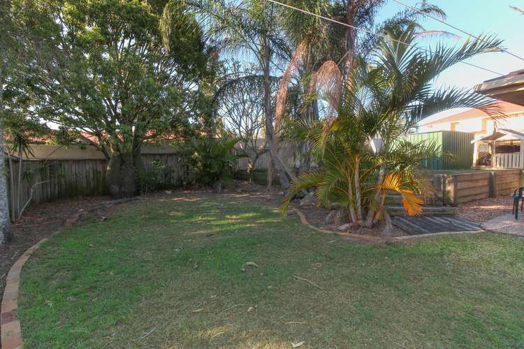 Sixth view of Homely house listing, 3 Cosmos Street, Springfield QLD 4300