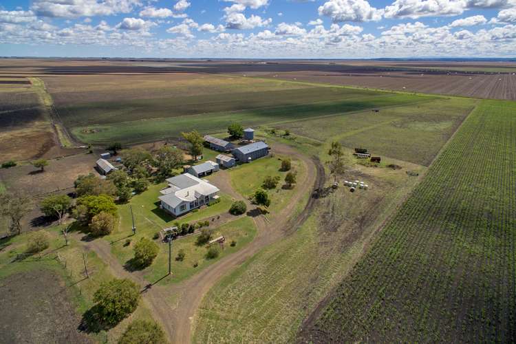 Second view of Homely ruralOther listing, 1174 Jondaryan Mount Tyson Rd, Yargullen, Jondaryan QLD 4403