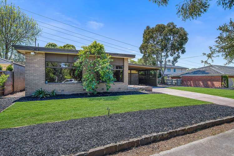 Main view of Homely house listing, 41 Highwood Drive, Wheelers Hill VIC 3150