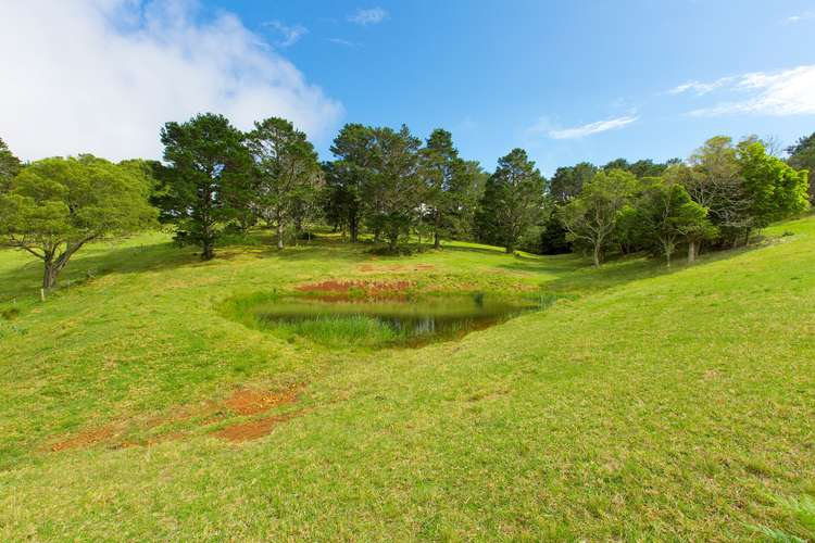 Seventh view of Homely ruralOther listing, 459 Saddleback Mountain Road, Kiama NSW 2533