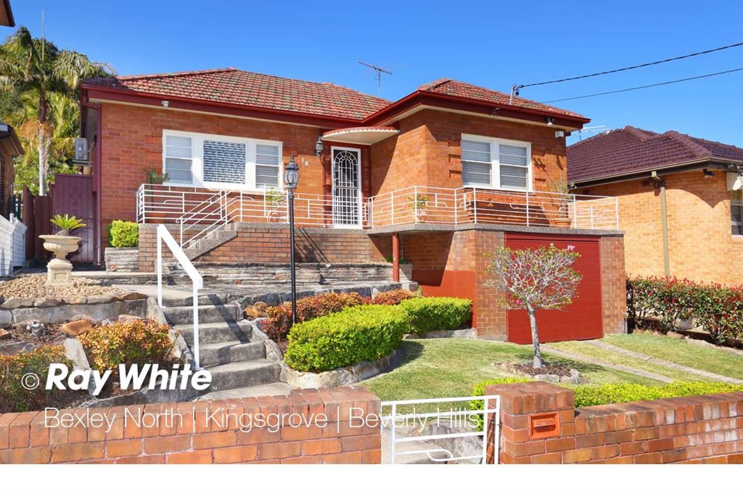 Main view of Homely house listing, 16 Fowler Avenue, Bexley North NSW 2207