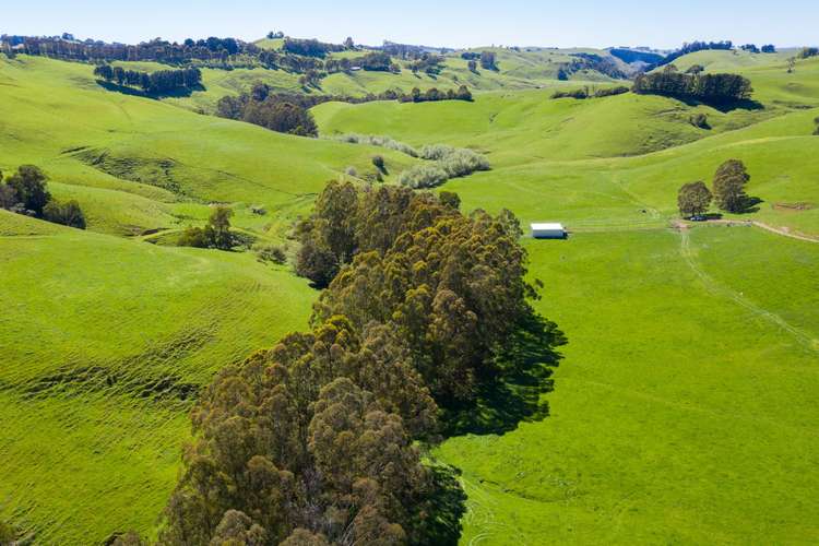 Main view of Homely ruralOther listing, 156 Fitzgeralds Road, Arawata VIC 3951