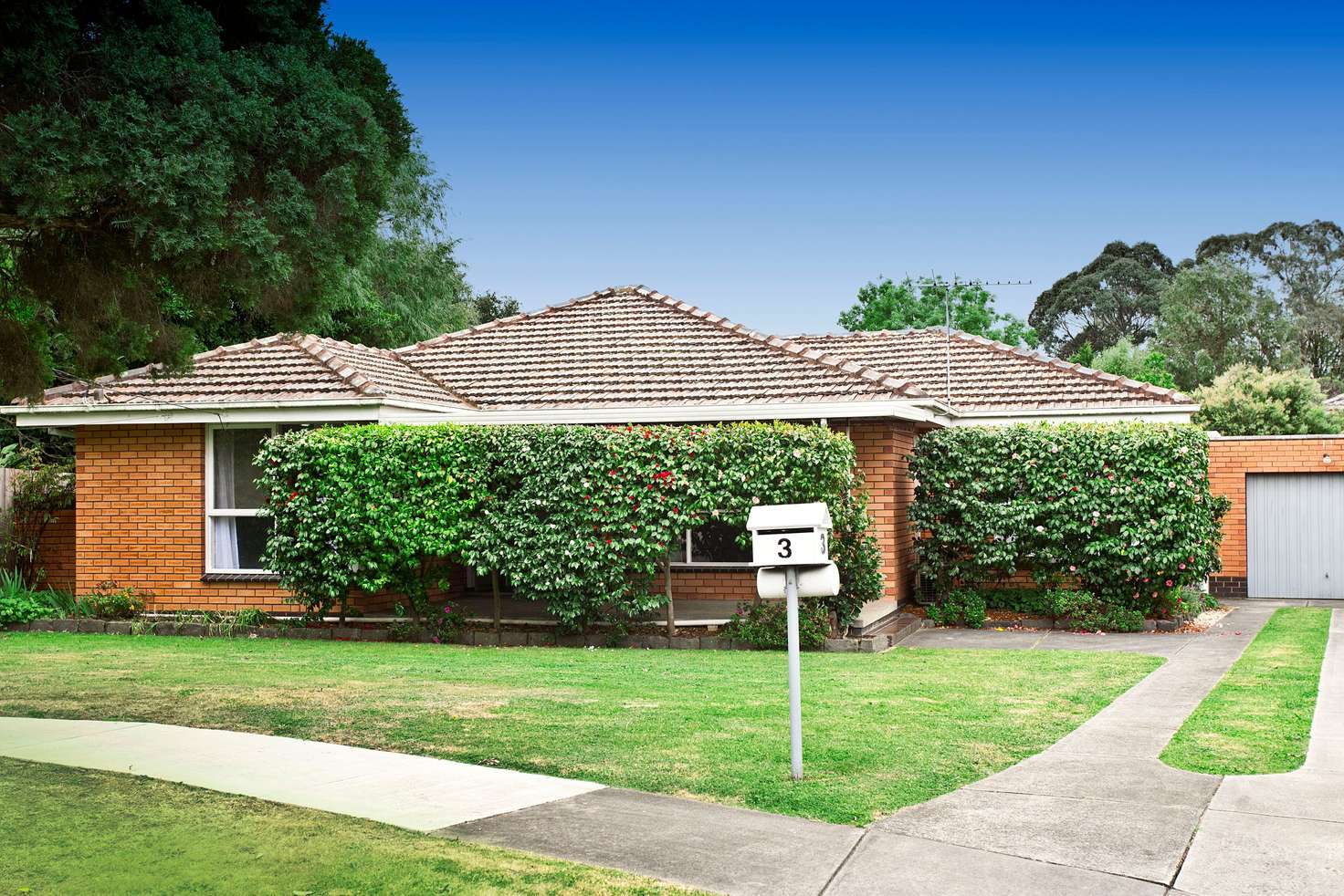 Main view of Homely house listing, 3 Gerrard Court, Glen Waverley VIC 3150