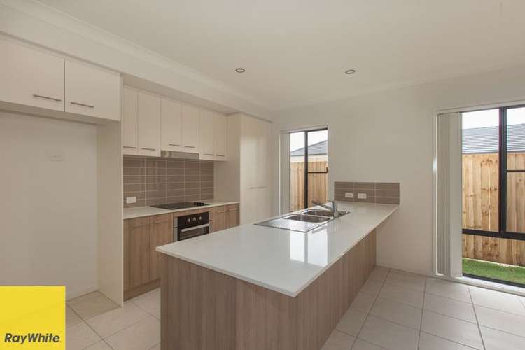 Fourth view of Homely house listing, 36 Tribeca Circuit, Coomera QLD 4209