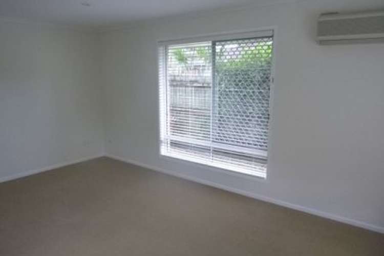 Main view of Homely house listing, 41 Bribie Pine Court, Buderim QLD 4556