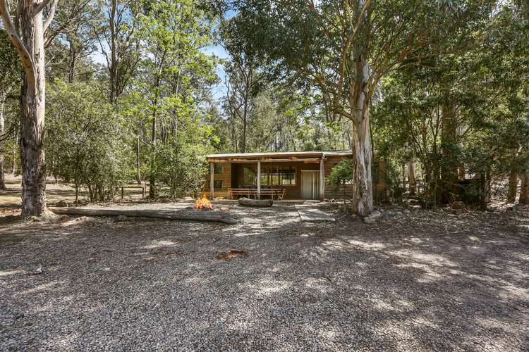 Seventh view of Homely ruralOther listing, 1100 Grassy Gully Road, Nowra NSW 2541