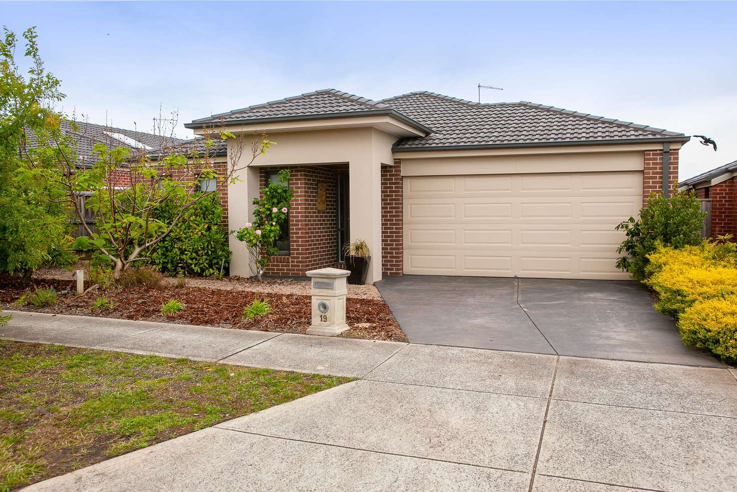 Main view of Homely house listing, 19 Romina Drive, Langwarrin VIC 3910