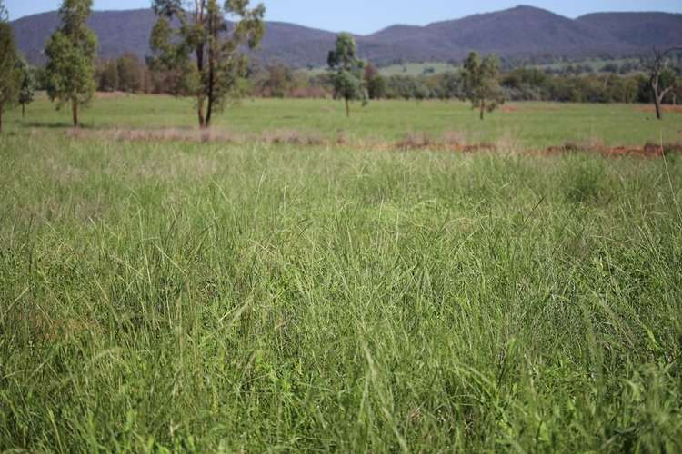 Main view of Homely ruralOther listing, 260 Royal Oak Road, Bingara NSW 2404