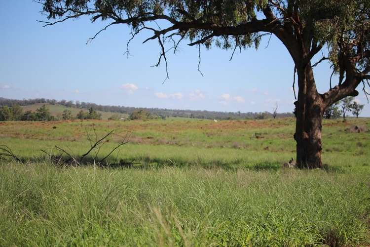 Third view of Homely ruralOther listing, 260 Royal Oak Road, Bingara NSW 2404