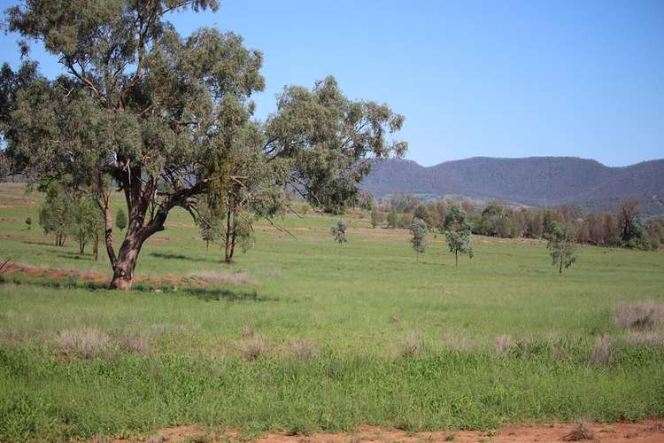 Fourth view of Homely ruralOther listing, 260 Royal Oak Road, Bingara NSW 2404