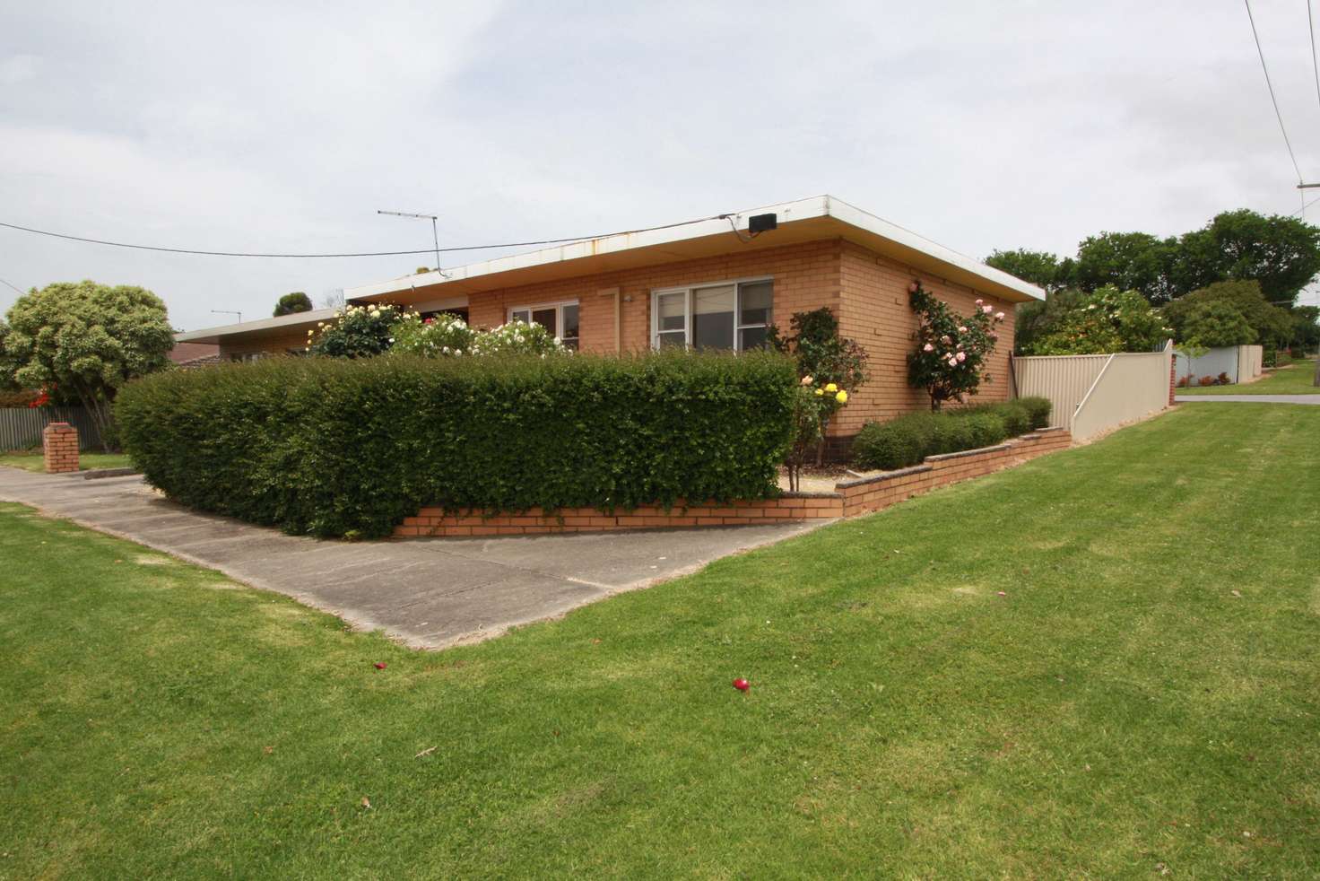 Main view of Homely house listing, 1/4 Walker Street, Camperdown VIC 3260