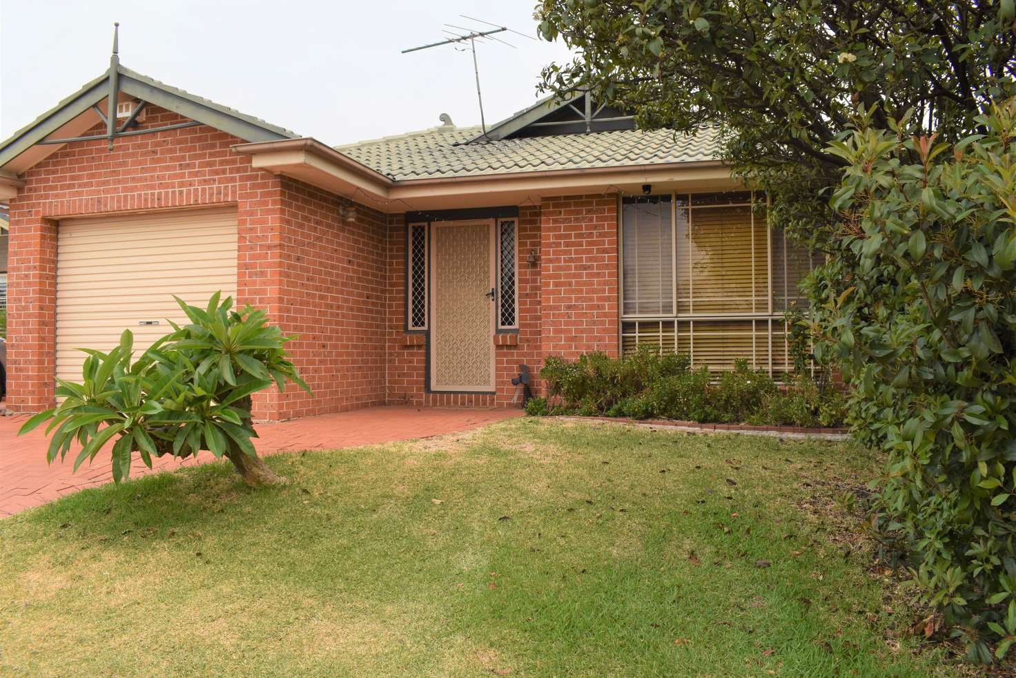 Main view of Homely house listing, 5 Morgan Place, Glendenning NSW 2761