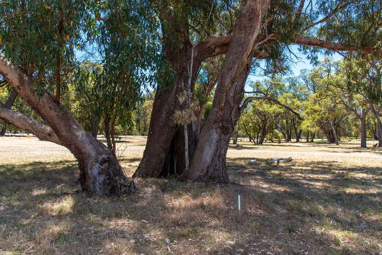 Fourth view of Homely residentialLand listing, Lot 53 Fletcher Road, Karnup WA 6176