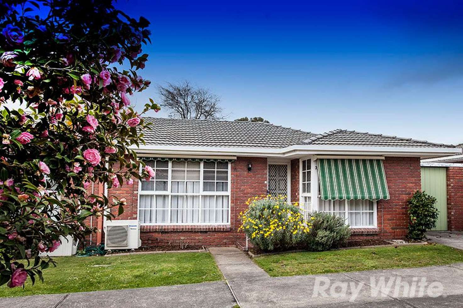 Main view of Homely unit listing, 3/27-29 Bourke Street, Ringwood VIC 3134