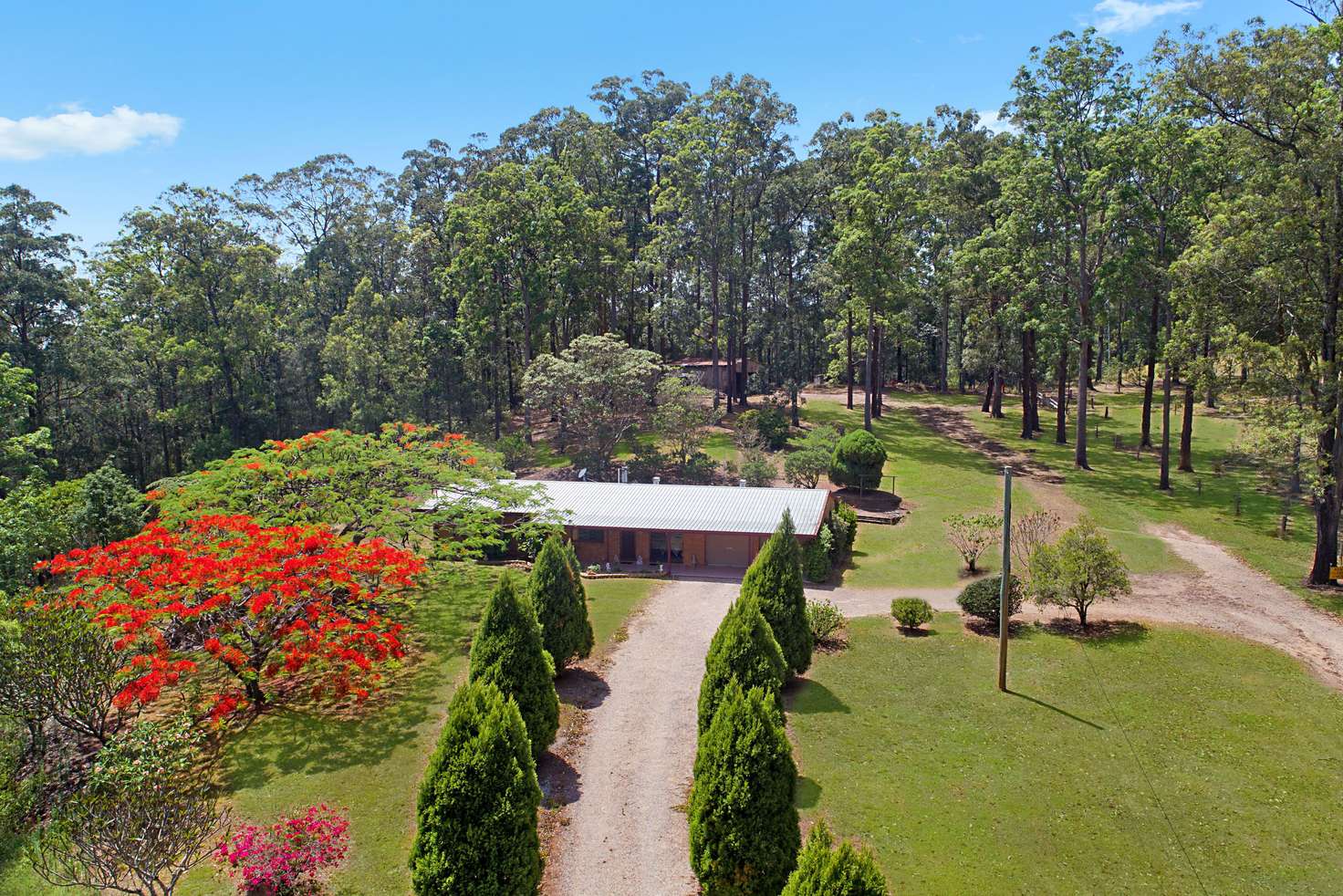 Main view of Homely ruralOther listing, 509 Zara Road, Limpinwood NSW 2484
