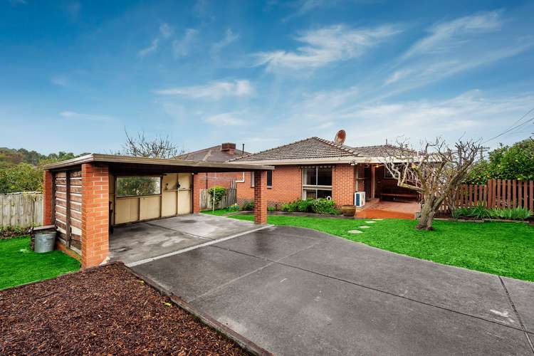 Main view of Homely house listing, 16 Coppabella Way, Vermont South VIC 3133