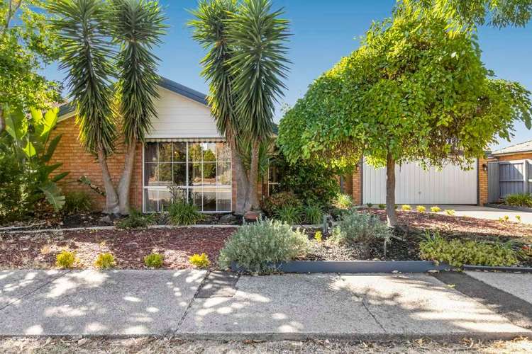 Main view of Homely house listing, 184 Murrindal Drive, Rowville VIC 3178