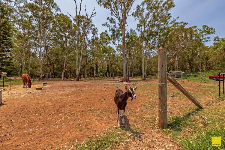 Second view of Homely acreageSemiRural listing, 1080 New Cleveland Road, Gumdale QLD 4154