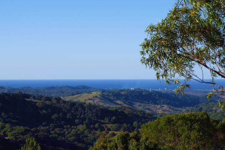 Main view of Homely ruralOther listing, 429 Carool Road, Carool NSW 2486