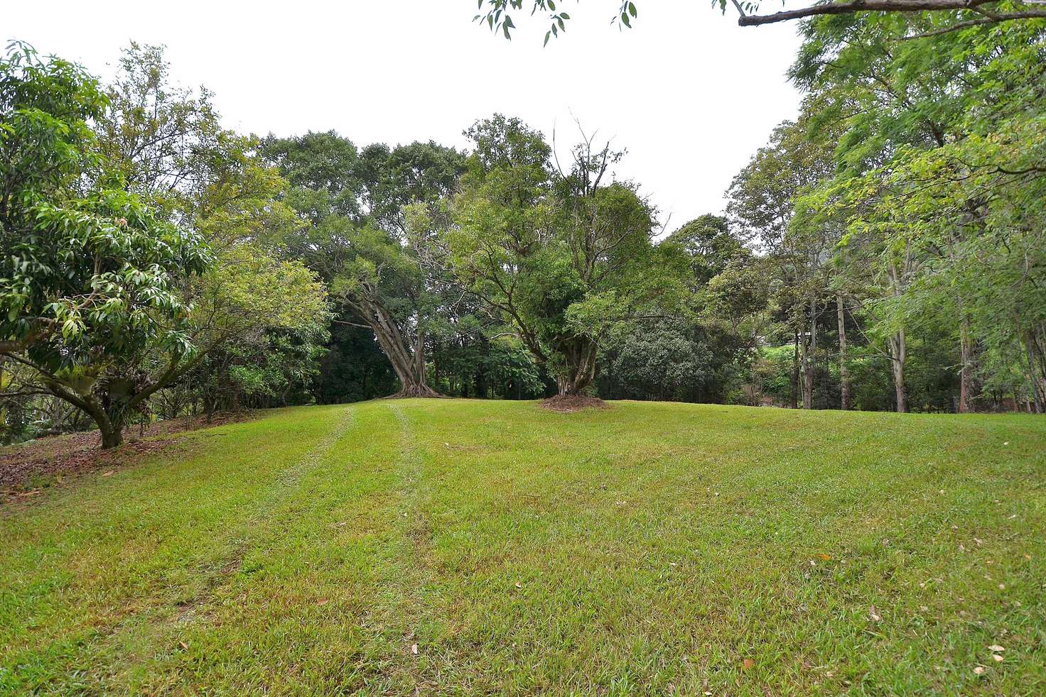 Main view of Homely residentialLand listing, 69 Estelle Road, Currumbin Valley QLD 4223