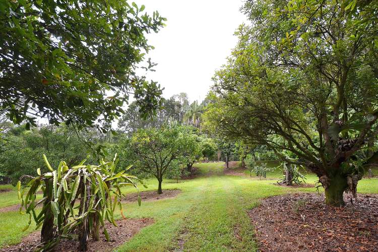 Third view of Homely residentialLand listing, 69 Estelle Road, Currumbin Valley QLD 4223