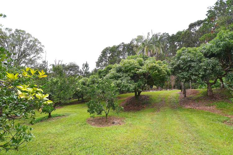 Fourth view of Homely residentialLand listing, 69 Estelle Road, Currumbin Valley QLD 4223