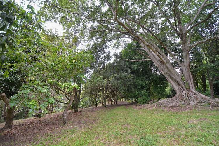 Fifth view of Homely residentialLand listing, 69 Estelle Road, Currumbin Valley QLD 4223