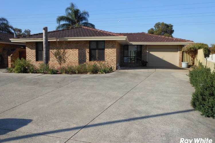 Main view of Homely house listing, 40 Blenny Close, Cannington WA 6107