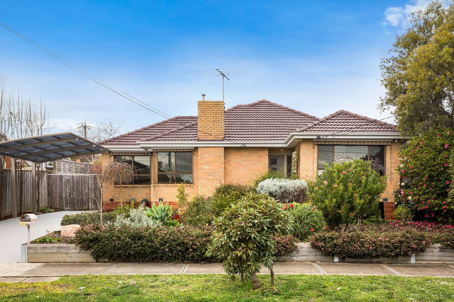 Main view of Homely house listing, 80 Harrison Street, Box Hill North VIC 3129