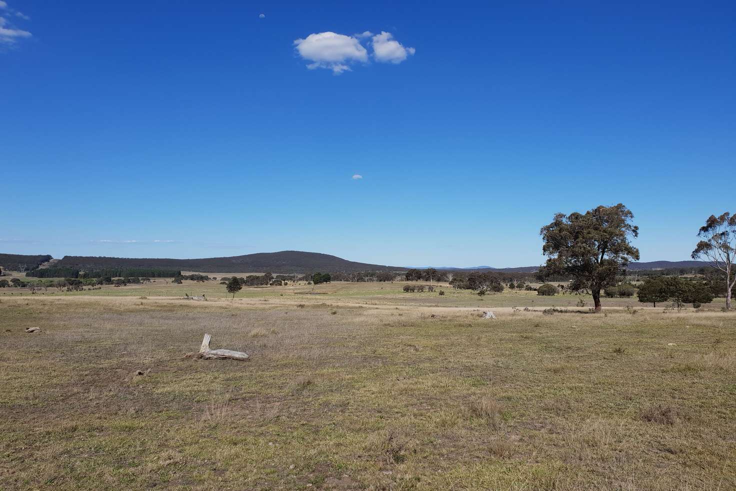 Main view of Homely ruralOther listing, 192a Boro Road, Tarago NSW 2580