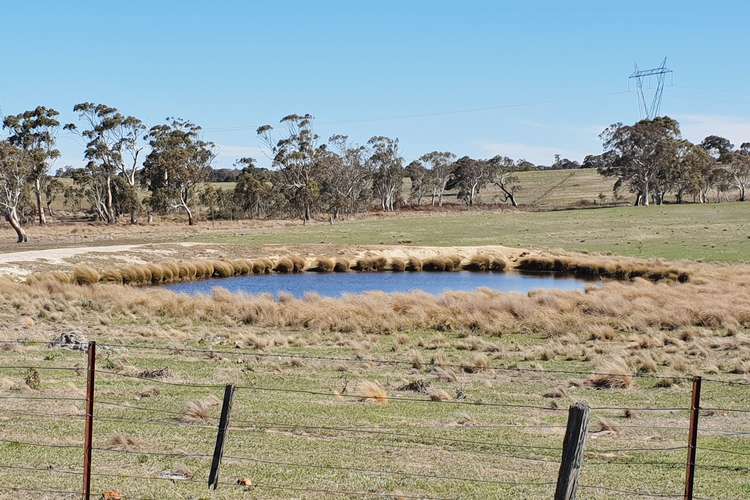 Fourth view of Homely ruralOther listing, 192a Boro Road, Tarago NSW 2580