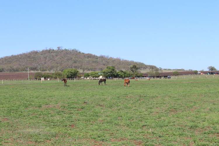 Sixth view of Homely ruralOther listing, 491 Doolan Road, Nobby QLD 4360