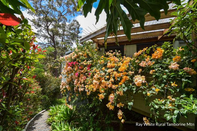 Fifth view of Homely house listing, 8 Katmai Court, Tamborine Mountain QLD 4272