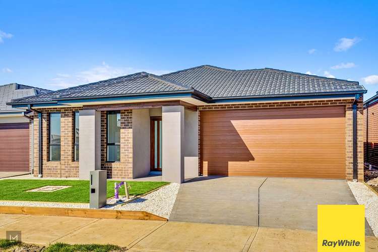 Second view of Homely house listing, 43 Cuttlefish Circuit, Tarneit VIC 3029