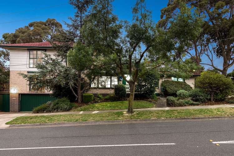 Main view of Homely house listing, 19 Sampson Drive, Mount Waverley VIC 3149
