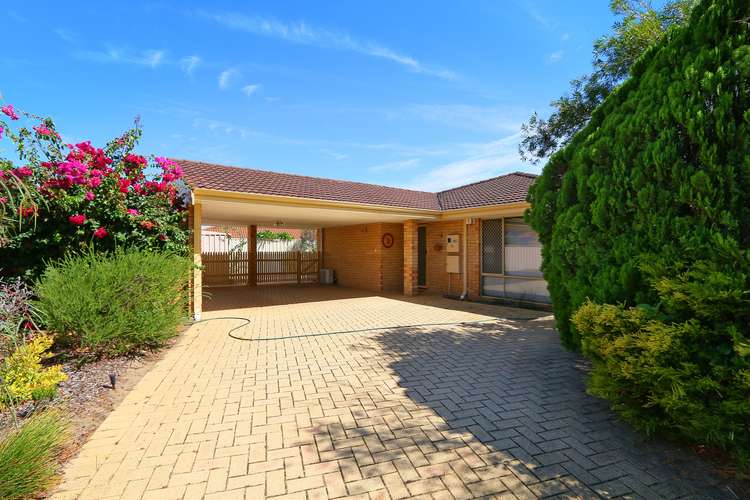 Main view of Homely house listing, 7B The Mews, Kardinya WA 6163