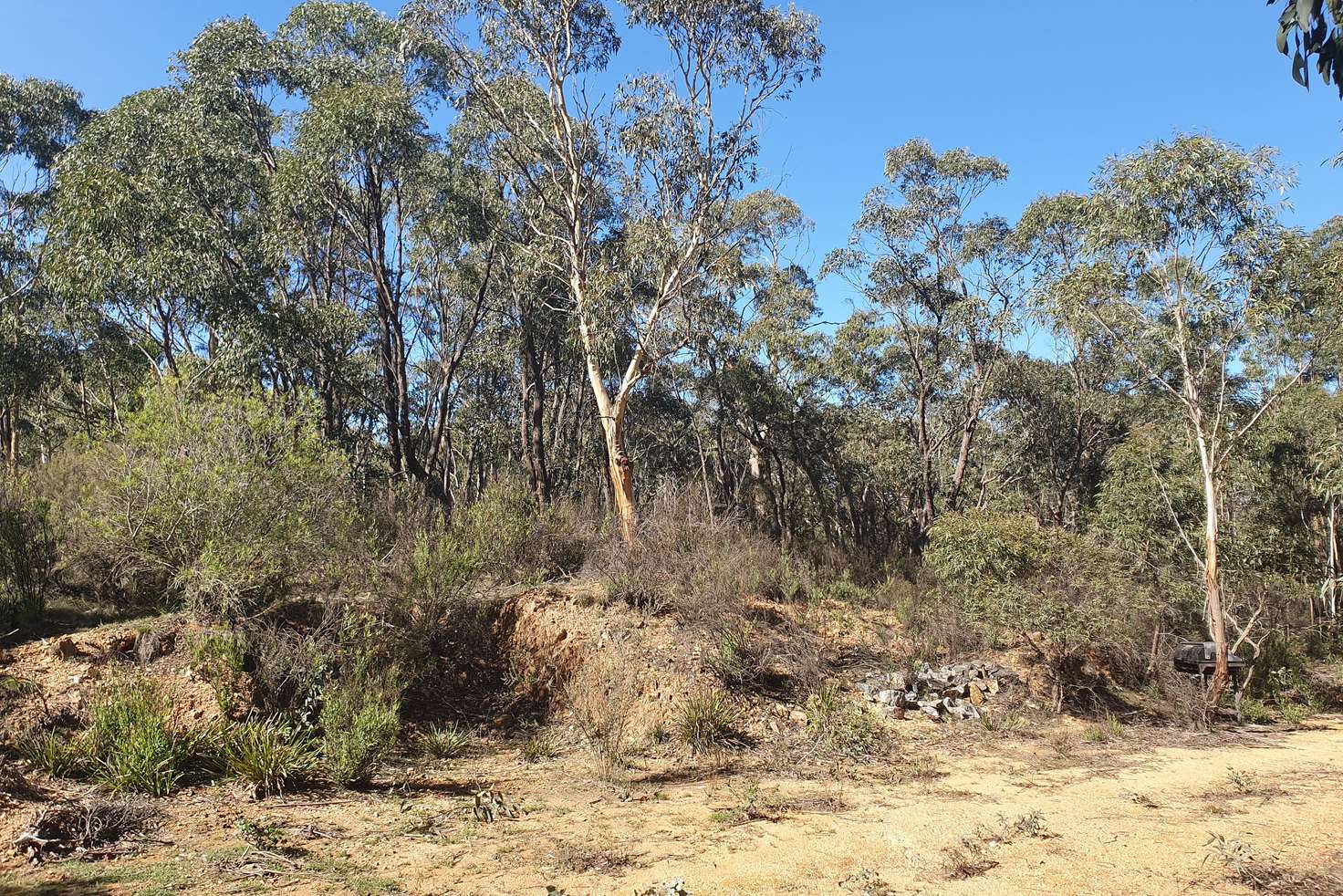 Main view of Homely ruralOther listing, Lot 1&2 Charleys Forest Road, Braidwood NSW 2622