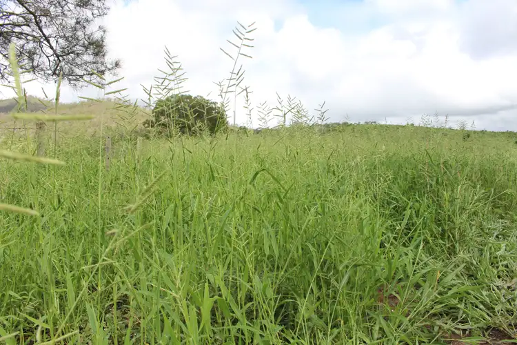 Sixth view of Homely rural property listing, 610 North Langmorn Road, Marmor QLD 4702