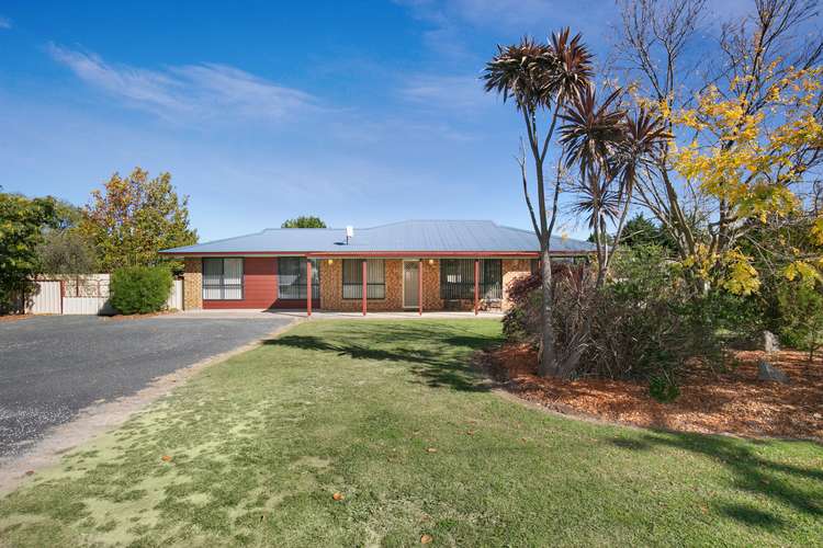 Main view of Homely house listing, 290 Falconer Street, Guyra NSW 2365