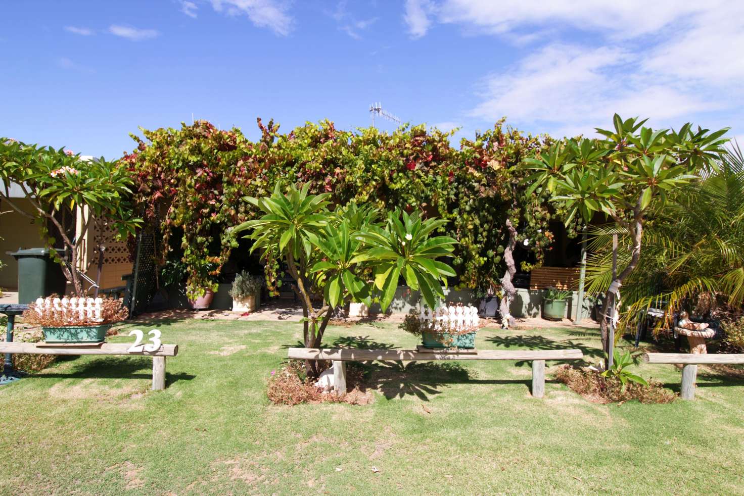 Main view of Homely house listing, 23 Queen Elizabeth Drive, Barmera SA 5345