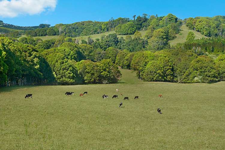 Fifth view of Homely ruralOther listing, 184 Possum Creek Road, Possum Creek NSW 2479