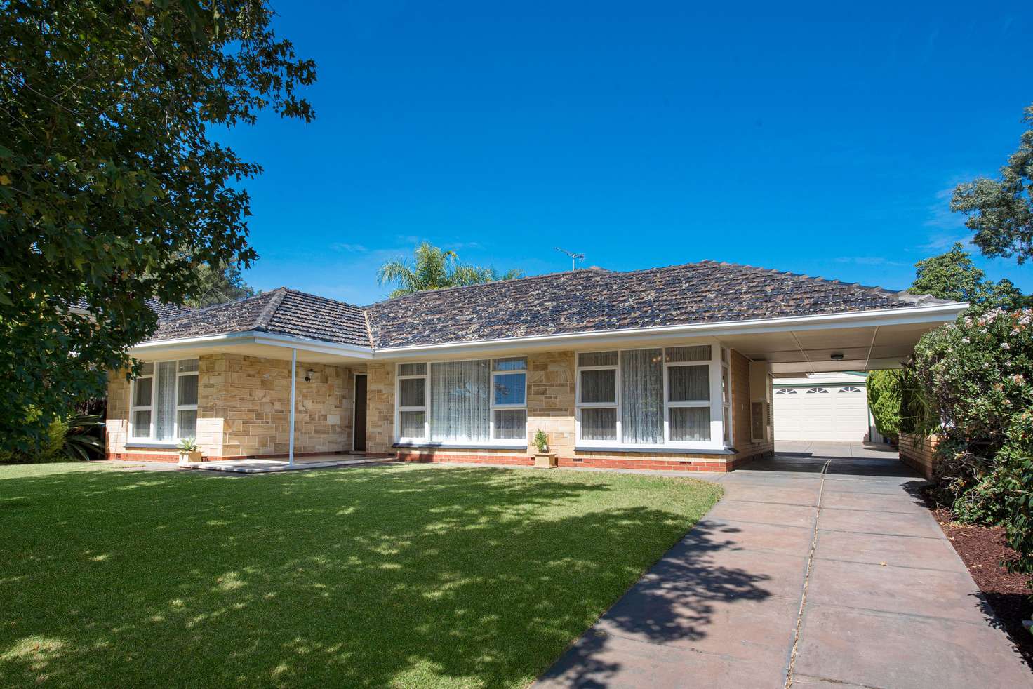 Main view of Homely house listing, 14 Cash Grove, Pasadena SA 5042