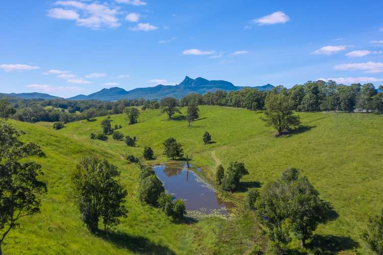 159 Stoddarts Road, Tyalgum NSW 2484